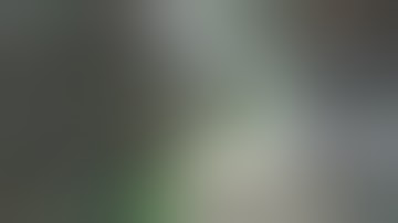 ARK: Survival Evolved - My first game-breaking bug