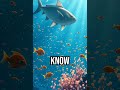 Discover the ocean's tiny heroes! #ocean #plankton #bedtimestory