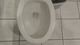 Queen Mary Womens Restroom Full Shoot (Rushed Shoot)