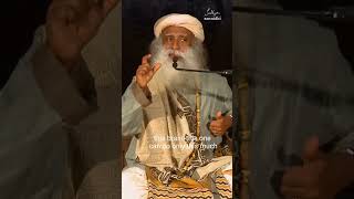 🪷 What Is Devotion 🧘‍♀️ Part 1 @sadhguru #innerengineering #sadhguruexclusive #devotion