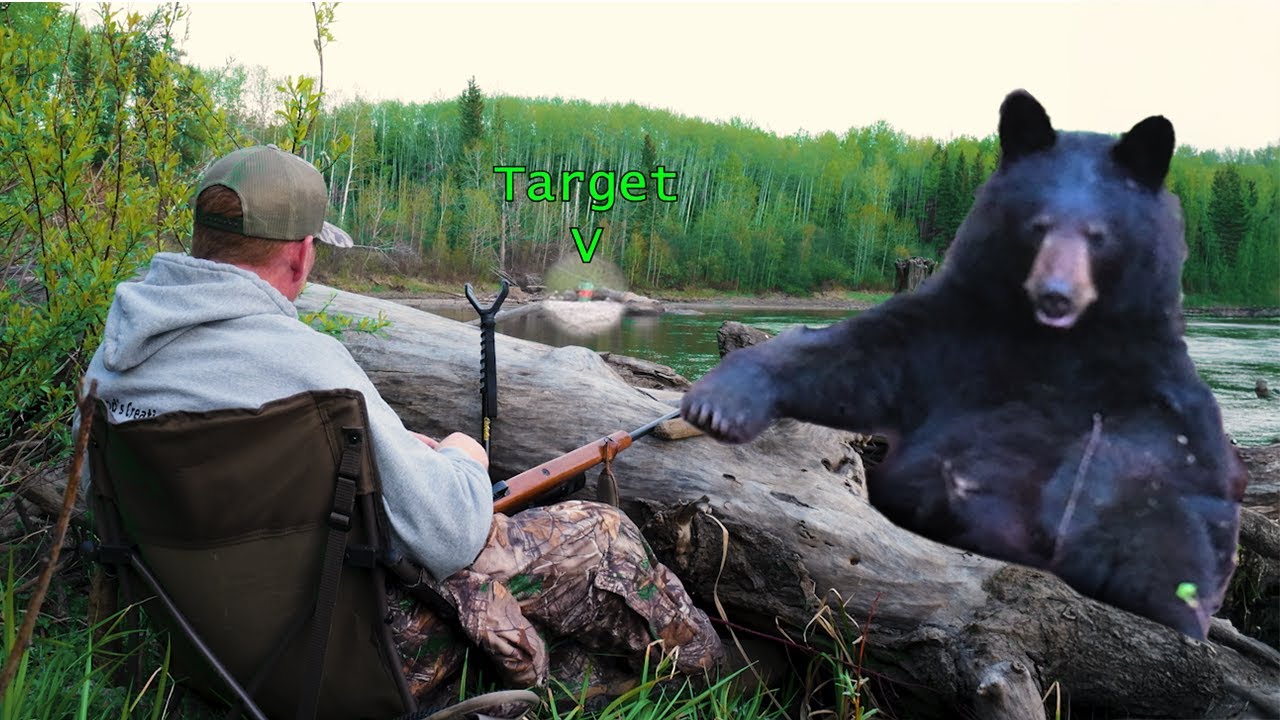 Northern Alberta wilderness black bear hunt with Hinterland Outdoors