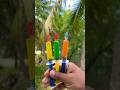 Survive in the Wild: Smart Forest Survival Skills#survival #useful #jdeas#smart #shorts#camping