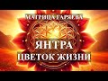 Янтра Цветок Жизни🌞Матрица Гаряева💎Yantra Flower of Life🌞Garyaev Matrix