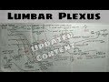 Lumbar Plexus - 2, Only One Chart | TCML