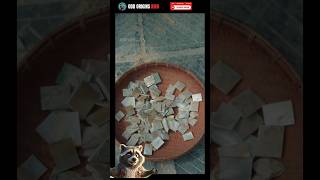 Stop Throwing Sea Shells in the Trash! #Crafts #SatisfyingVideo #HowItsMade #ASMRCrafts #Woodworking