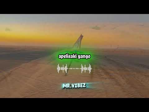 Fally Ipupa  - Centième dossier lyrics