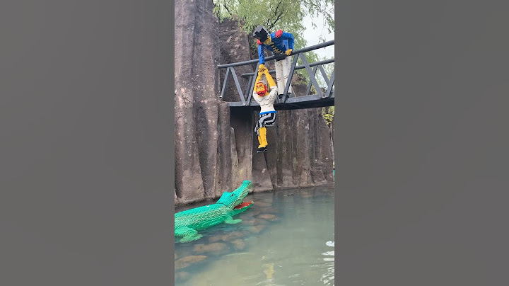 Lego Crocodiles and a Real Alligator #shortswithcamilla #lego #shorts #alligator #crocodile