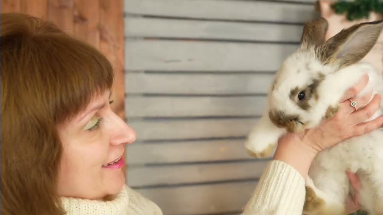 "Миранда-медиа" творит чудеса! - YouTube