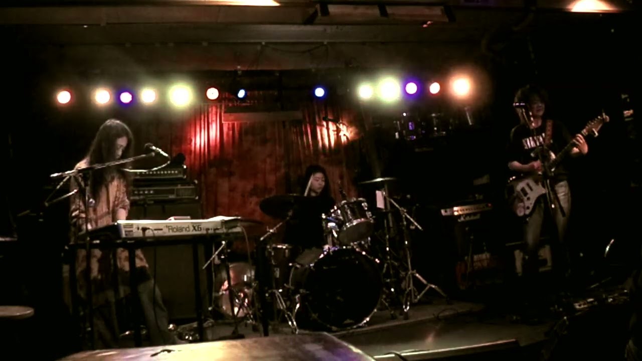 永遠の風景　イリオモテヤマネコ　2026/3/1　音小屋