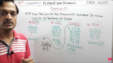 Q11) Ex- 3.7 Maths Class 6 Chapter 3 Playing With Numbers | Maths Class 6th CBSE NCERT- By Deepak