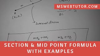 Section & Mid Point Formula with Examples in Hindi | mswebtutor.com