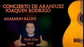 Concierto De Aranjuez Rodrigo/ Rodrigonun Gitar Konçertosu / Ağasarın Balını