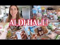 ALDI GROCERY HAUL | NEW FINDS!