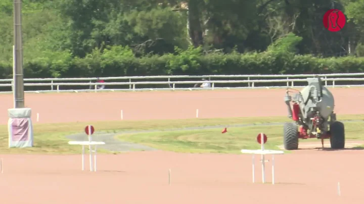 Course 12 : Prix Destrier Junior Cup - Haies -Remp...