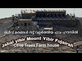 Jabal Yibir/Highest Peak in UAE/Olive Trees Farm house at Top/best driving experience.