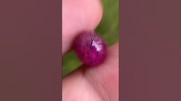 Beautiful afghanistan ruby cabochon  #acegemstones #preciousstones #gems #ruby #rubyring #gemstone