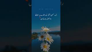 Haseen Aankh | Urdu Poetry | whatsapp status | TikTok videos | Urdu | Poetry | Love | Nim wri8s