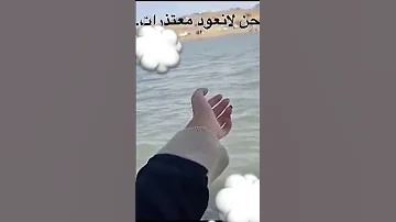 نحن لا نعود معتذرات نحن لا نعود اسأسا 