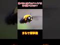 【ゆっくり解説】理論上は飛べないクマバチが飛べる理由 #ゆっくり解説 #クマバチ#昆虫