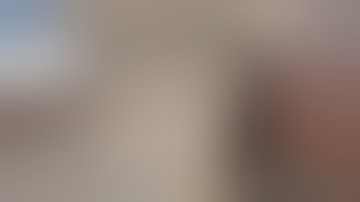 Crazy Python Shot |RUST|