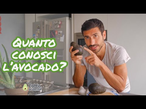 AVOCADO: Tutto quello che si deve sapere + 2 RICETTE SUPER HEALTHY | Cotto al Dente