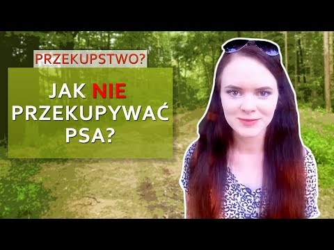 Wideo: Czy ojciec powinien być w pobliżu, gdy rodzą się szczenięta?