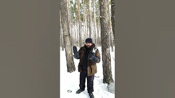 Оборона от диких зверей в лесу подручными средствами