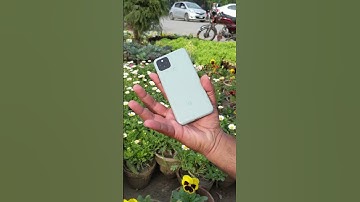 Pixel 3xl vs Pixel 5 4k Video camera comparison - Google pixel devices 4k camera showoff