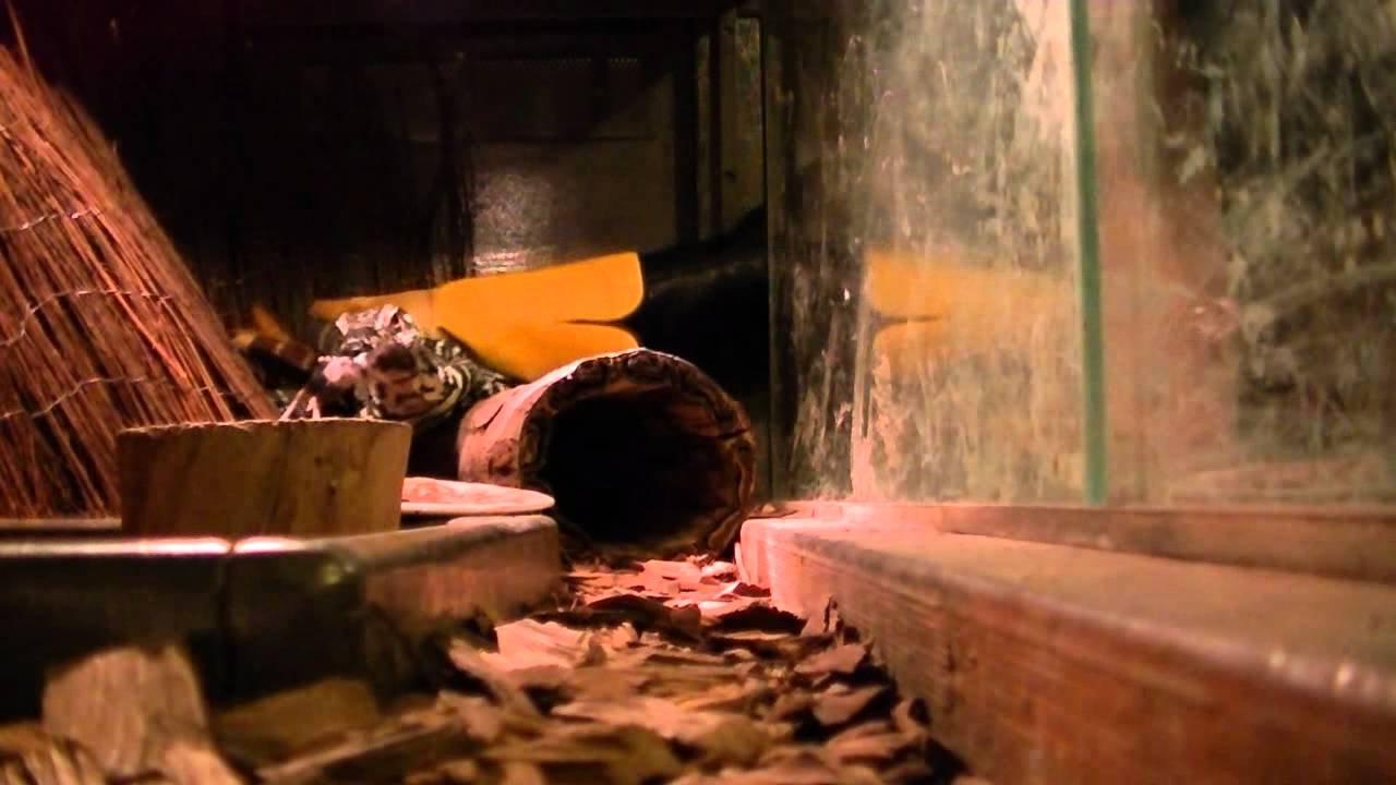 lizard skin grips Update video for kurt + feeding