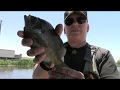 Fishing the Holland River 2017-  Bluegill Blast