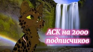 АСК на 2000 подписчиков :3