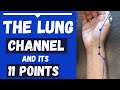 The lung channel meridian and 11 lung acupuncture points functions  locations