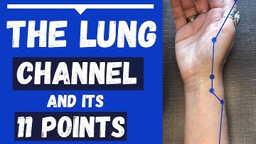 The Lung Channel Meridian and 11 Lung Acupuncture Points (Functions & Locations)