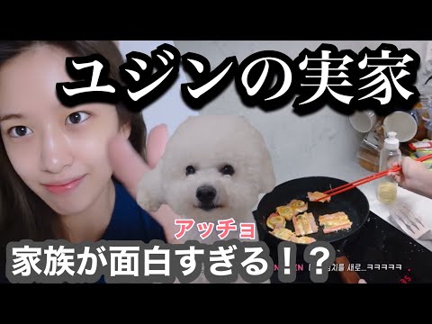 【IVE日本語字幕】ユジンの家族が面白すぎたwww姉、母、父家族大集合