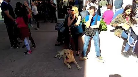 Quando possono aprire i negozi in Piemonte?
