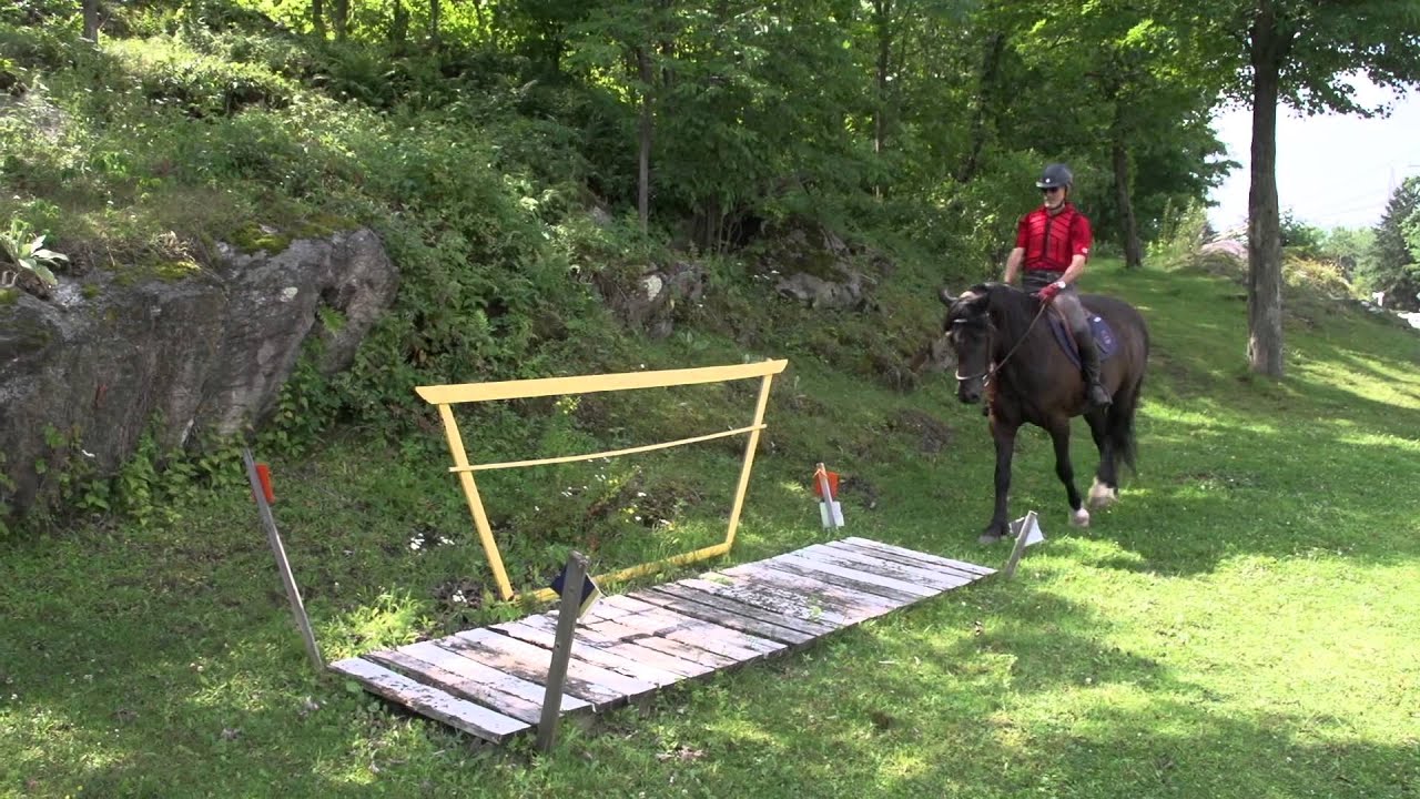 Cheval Canadien Trec Youtube