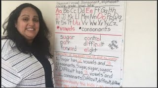 Grade Level High Frequency Words and Vowels vs. Consonants Net Worth