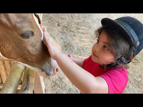 horse riding #aliwara #realkhan
