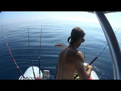 Drifting al tonno rosso