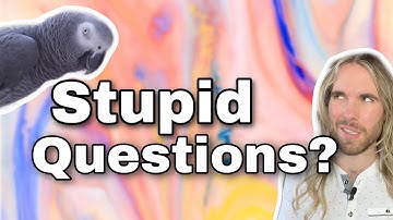 Is there REALLY no such thing as a stupid question?