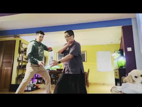 Black Dragon Hits Water: Fa Jin Training of XingYi-BaGua Palm