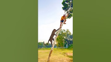 Man vs Leopard: Real-Life Tree Escape from Wild Attack! 🐆🌳 #Shorts #animals