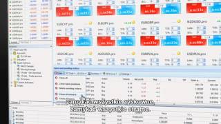 Metatrader Stp Ndd Tutorial - Terminal Z Panelem Narzędzi