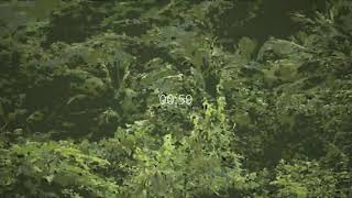 SOFT PHONK screenshot 2