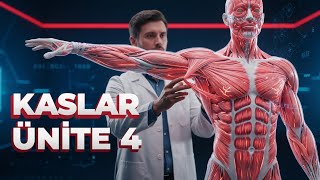 Temel Anatomi Ünite 4 Kaslar Myologia Ata-Aöf Mini Kampüs