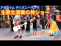 【金ロー記念】アナハイムのリメンバー・ミーの神ショー【A musical Celebration of coco】