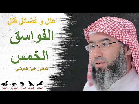 علل و فضائل قتل الفواسق الخمس الدكتور نبيل العوضي