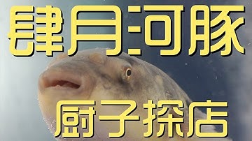 真河豚 Youtube
