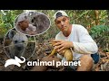 Frank se aproxima de 3 espécies tão simpáticas quanto perigosas | Wild Frank | Animal Planet Brasil