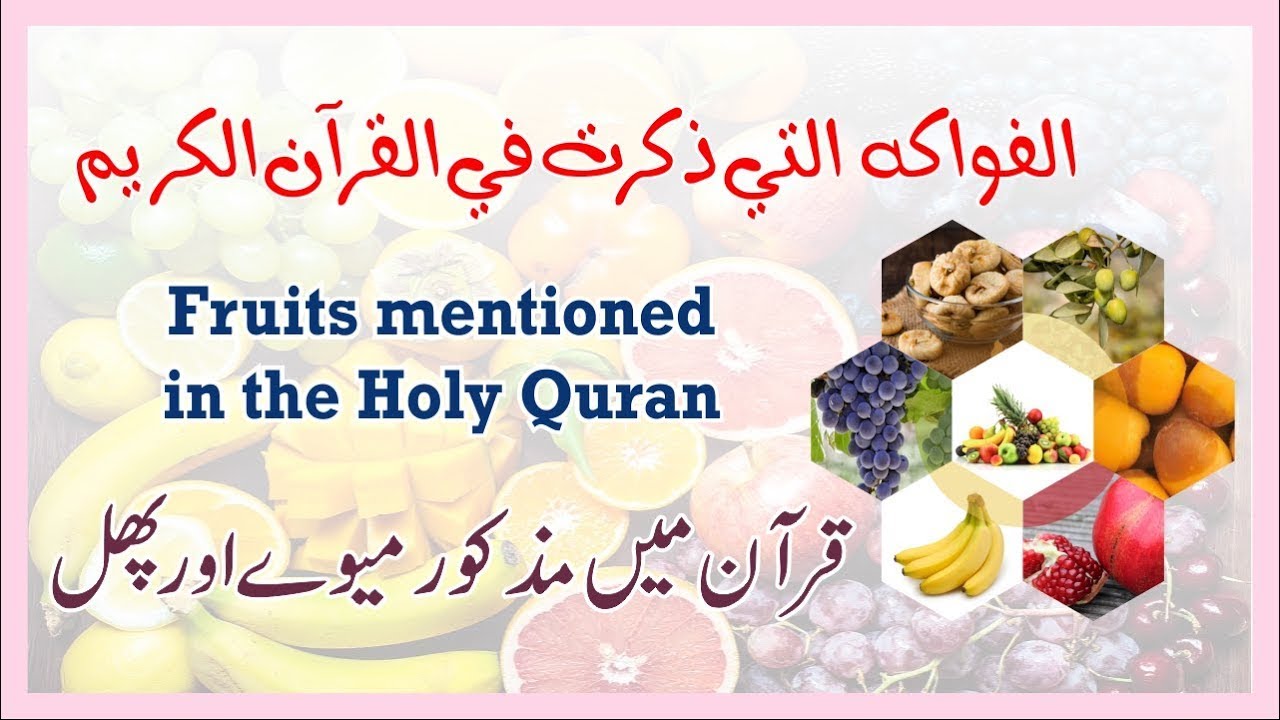 6 fruits names mentioned in the Holy Quran, الفواكه اللتى ذكرت فى